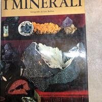 I MINERALI