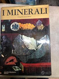 I MINERALI