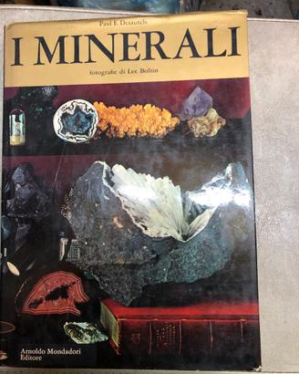 I MINERALI