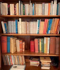 Libri scolastici del 1900, oltre 300 libri