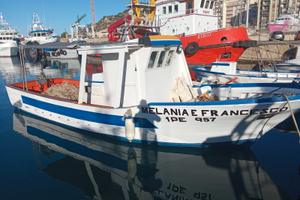 Barca da pesca con licenza