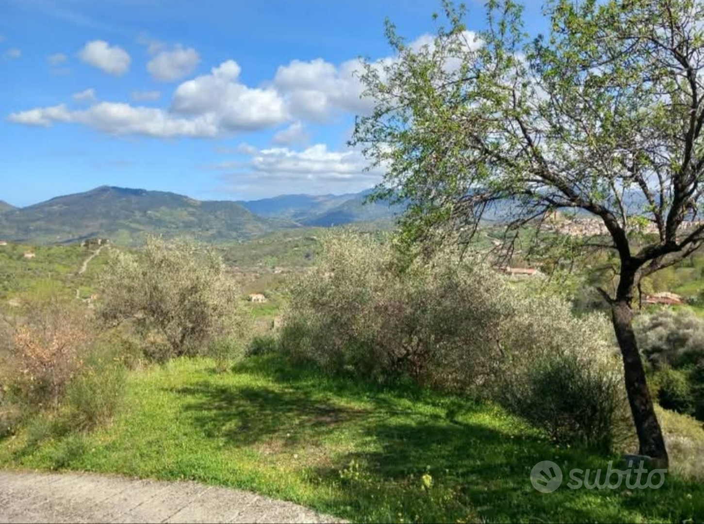 Terreno con rustico a Castelbuono - Vista 3