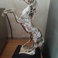cavallo