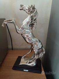cavallo