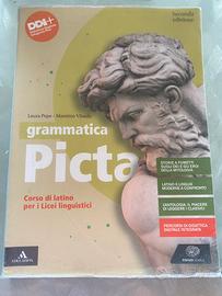 Libro Grammatica Picta