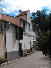 Casa indipendente a Pietrabruna con uliveto vicin