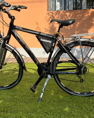 Olympia condor