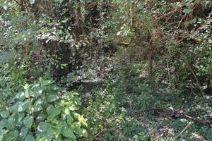 Terreno agricolo incolto in Norcia (PG)