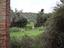 Immagine 14