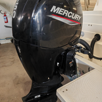 Motore Mercury 150 cv