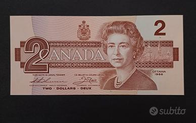 banconota 