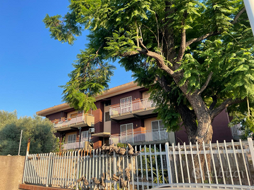 Cittadella universitaria