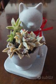 Vasetto per piantine