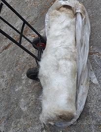 Rotolo tessuto fibra di vetro per vetroresina