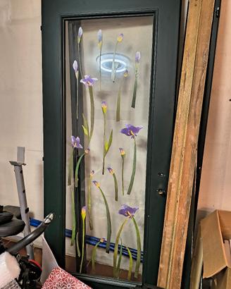 Porte da interno semi nuove 