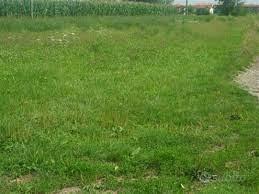 Terreno a Cartura (PD)
