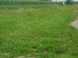 Terreno a Cartura (PD)