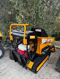 Moto Carriola dell'anno 2025