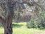 Immagine 22