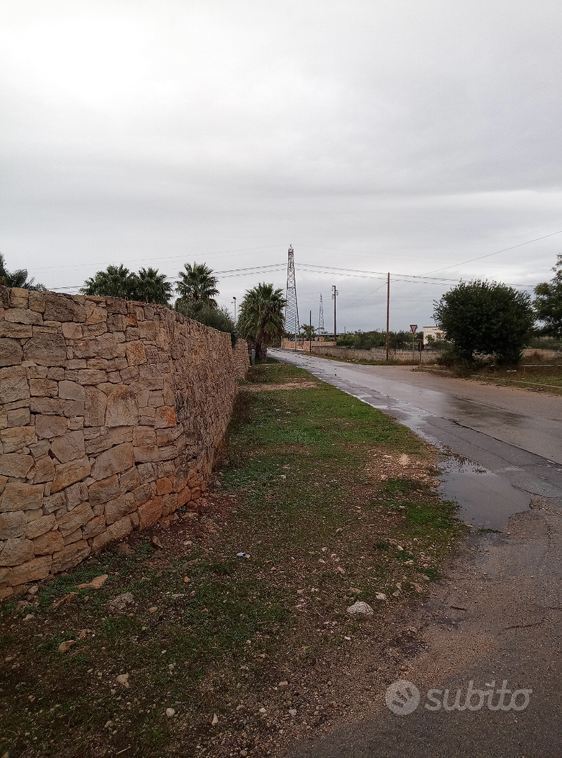 Terreno agricolo edificabile 1 ettaro a Copertino - Vista 3