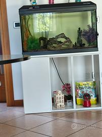 acquario 100 l