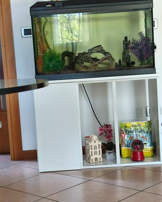 acquario 100 l