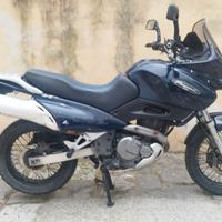 SUZUKI XF 650 Freewind (FMI d'epoca)