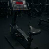 cyclette tecnogym professionale da palestra