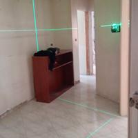 de walt livella laser 