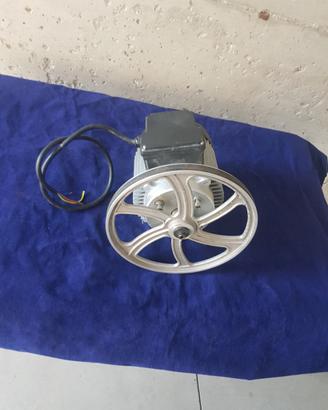 MOTORE ELETRICO 