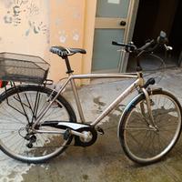 Bicicletta Bottecchia Verde Natura