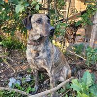 Mix di tenerezza e fedeltà