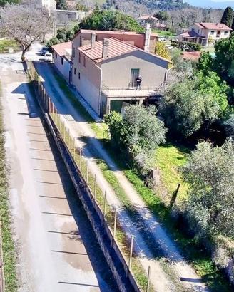 CASALE e Ulivi in Maremma