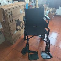 sedia a rotelle
