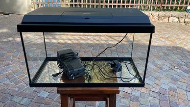 Acquario Juwel