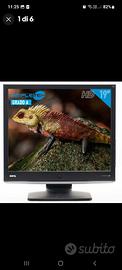 monitor benq 19 pollici