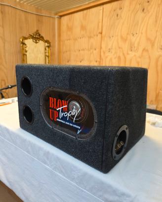 subwoofer tec by vifa 