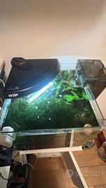 Acquario Newa 30 litri