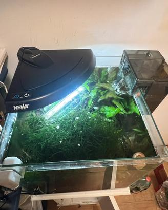Acquario Newa 30 litri