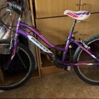 Bicicletta Edencicli