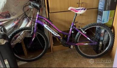 Bicicletta Edencicli