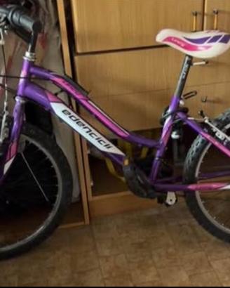 Bicicletta Edencicli