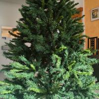 Albero di Natale 180 cm