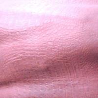 Pelle coccodrillo stampato