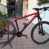 mtb focus raven