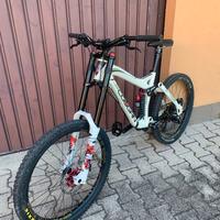 bici DH Lee Cougan