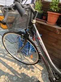 Bicicletta da passeggio