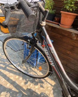 Bicicletta da passeggio