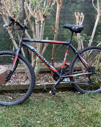 Mountain bike 26