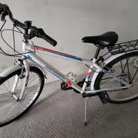 Bicicletta ragazzo fine elementari/medie